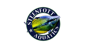 Steenfott Aquatics